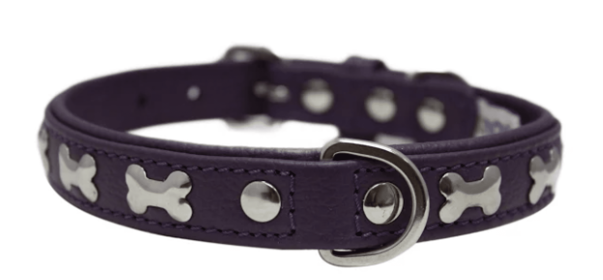 Rotterdam Bones Dog Collar by Angel 14" X 3/4" , Orchid Purple